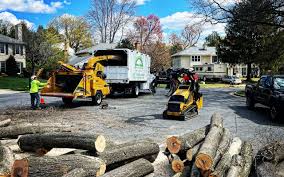 Best Seasonal Cleanup (Spring/Fall)  in Indian Head, MD