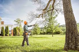 Best Lawn Mowing  in Indian Head, MD