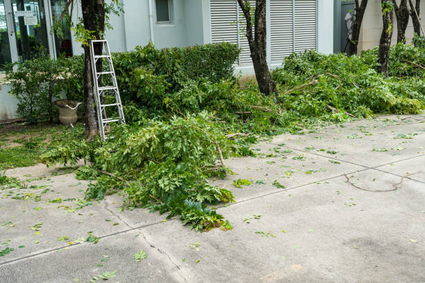 Best Lawn Irrigation Installation and Maintenance  in Indian Head, MD